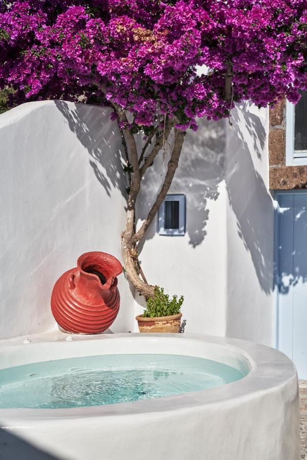 2 Bedroom Charming Villa With Outdoors Jacuzzi Megalochori  Exteriér fotografie